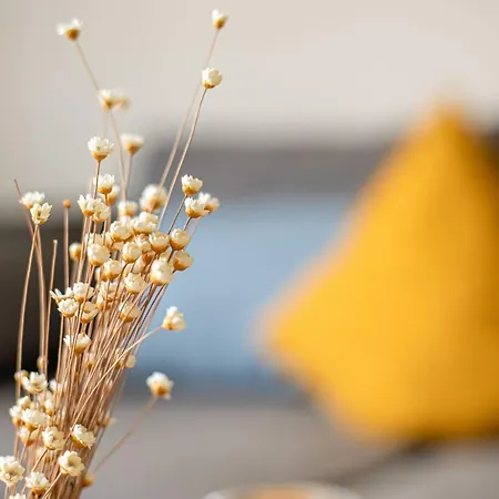 Seeherz בית נופש